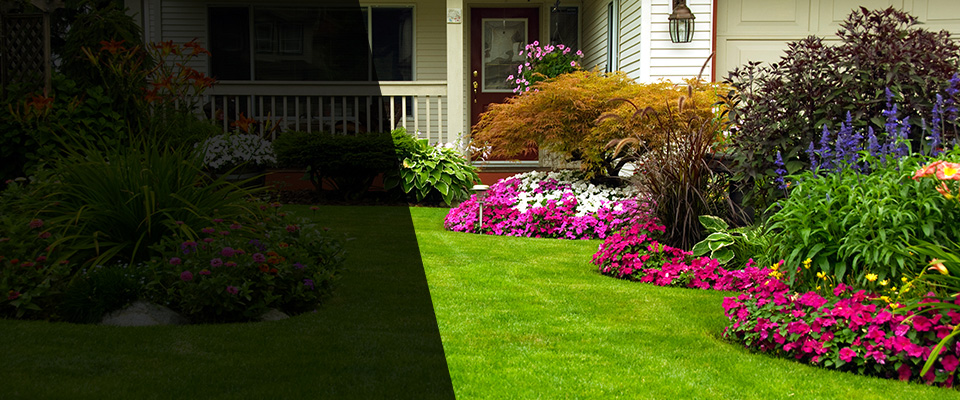Delhi Landscapers
